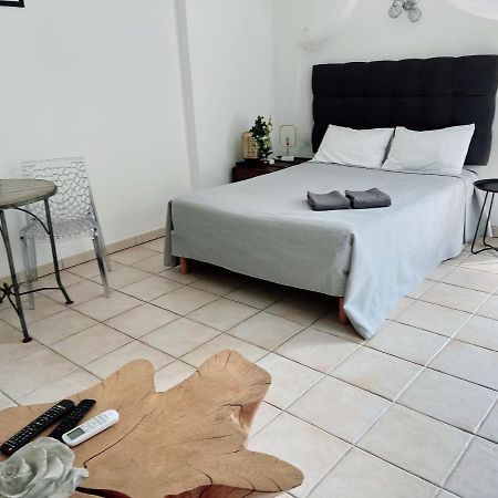 Appartement Climatise Parking Cite Paoline Corte  Dış mekan fotoğraf