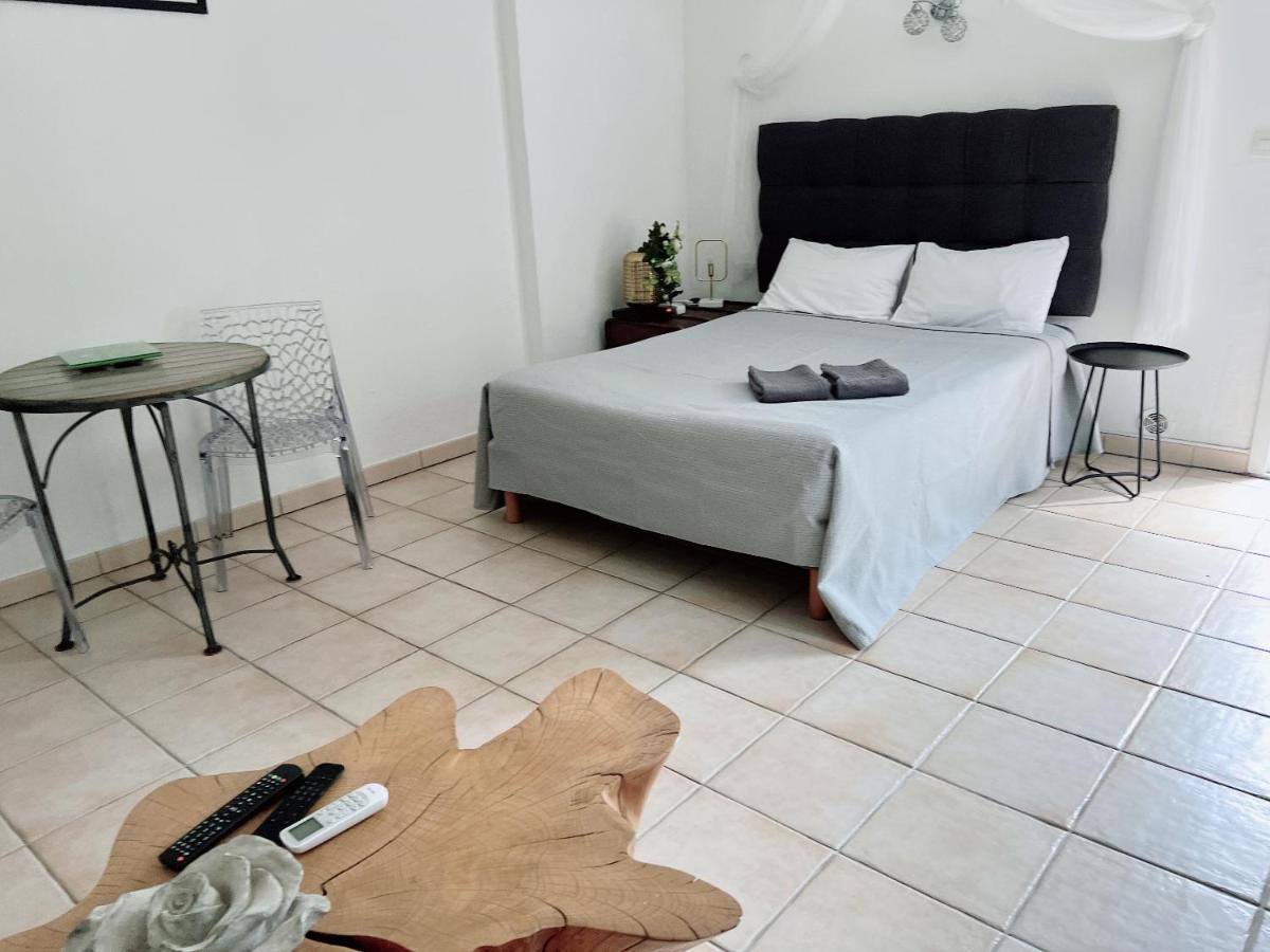 Appartement Climatise Parking Cite Paoline Corte  Dış mekan fotoğraf